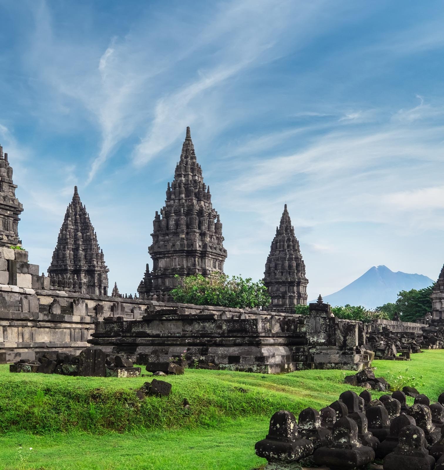 Rice terraces carved into a hillside
