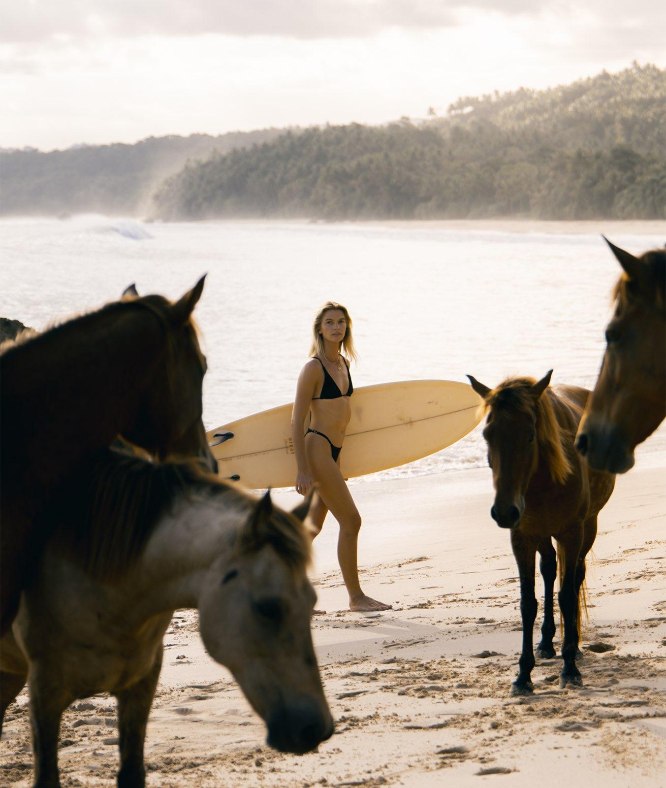 Sandalwood Horses