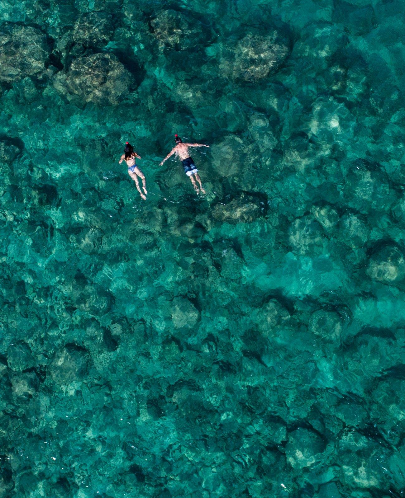 FAD Snorkelling