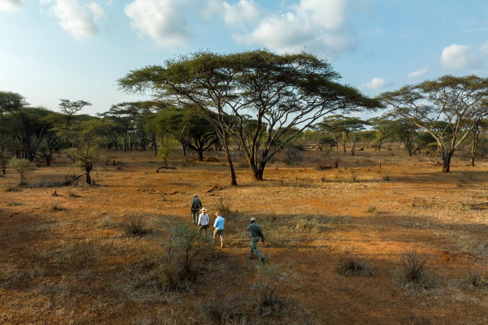 Rhino on Foot — interior