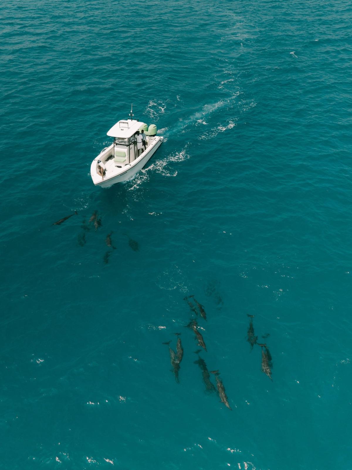 The Big 5 Ocean Safari