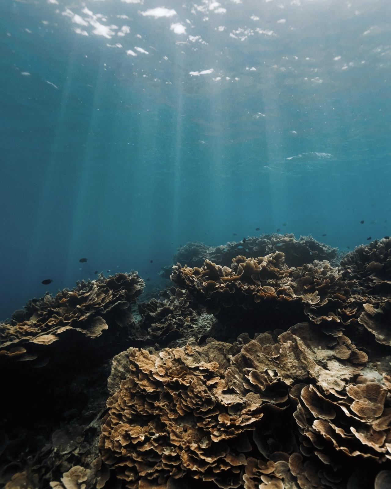 Marine Conservation