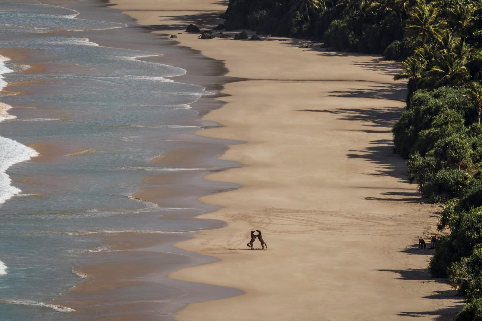 Indonesia