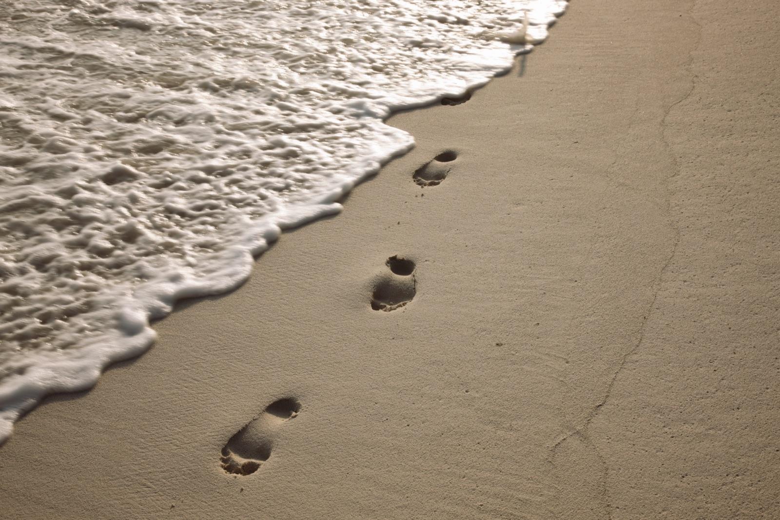 Barefoot Guardian