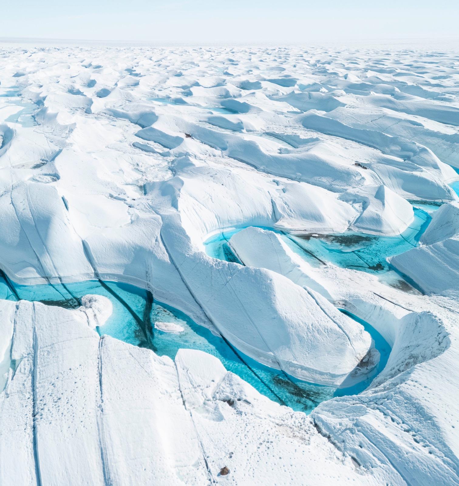 Icebergs drifting through clear polar water