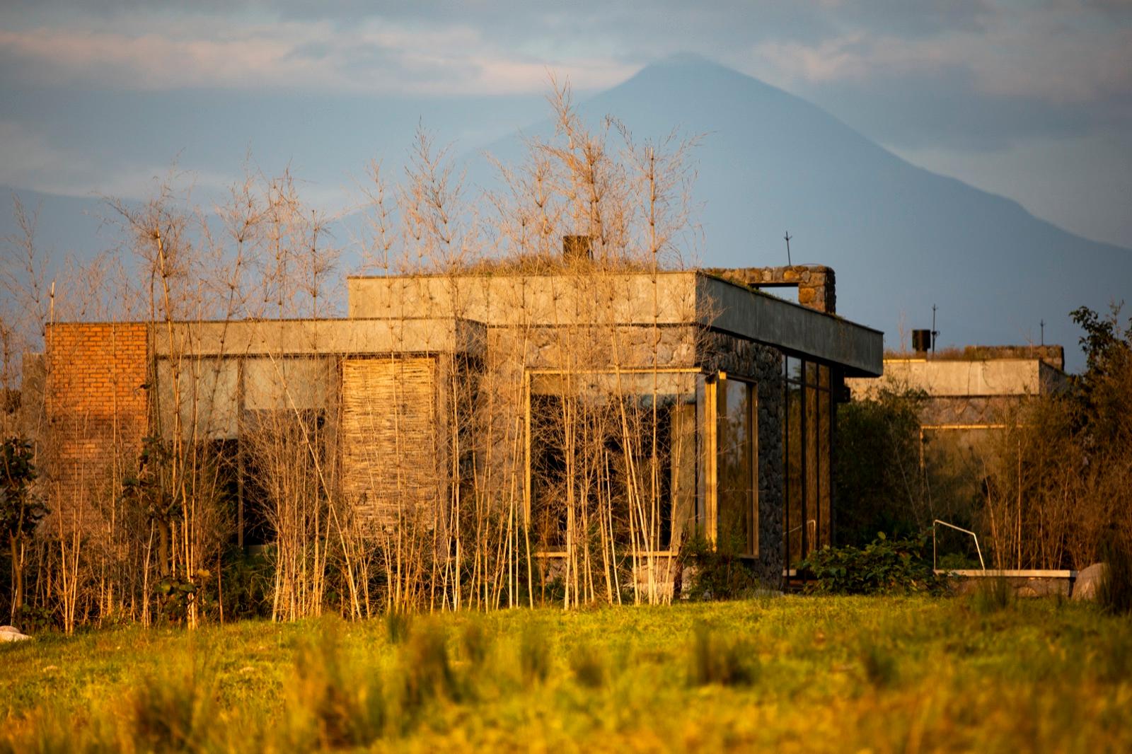 deep-in-gorilla-country — 1