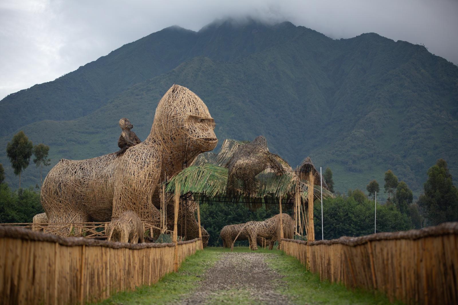 Deep in Gorilla Country — interior