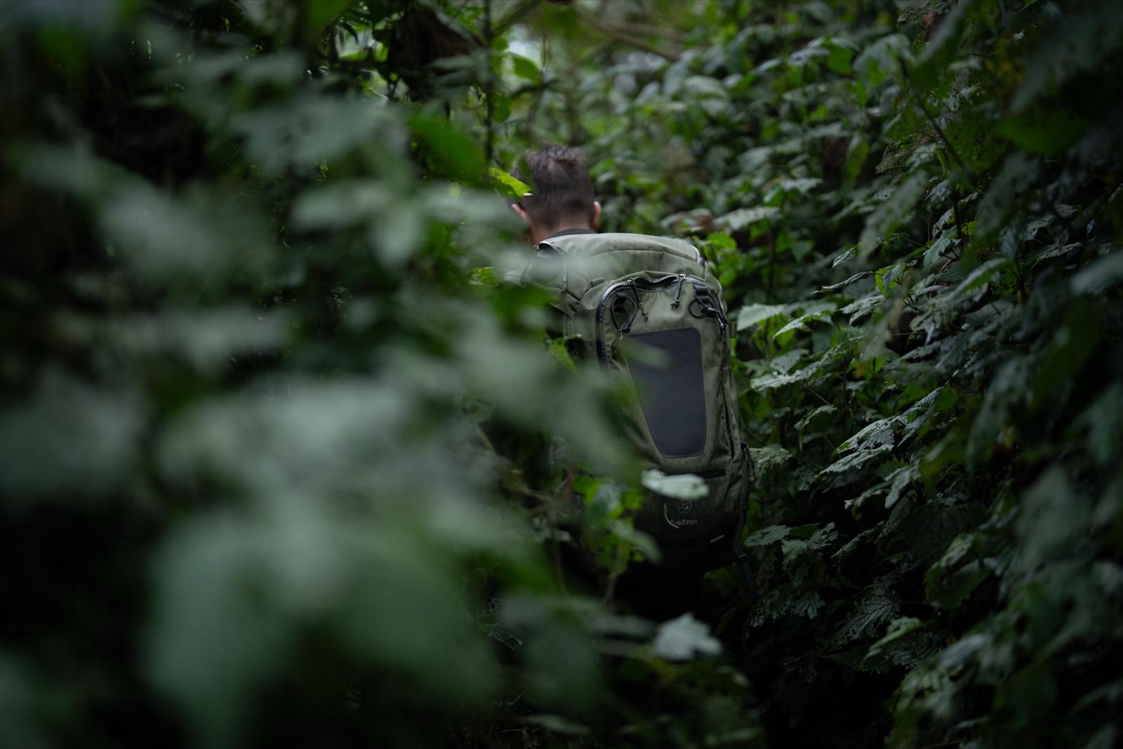 Deep in Gorilla Country