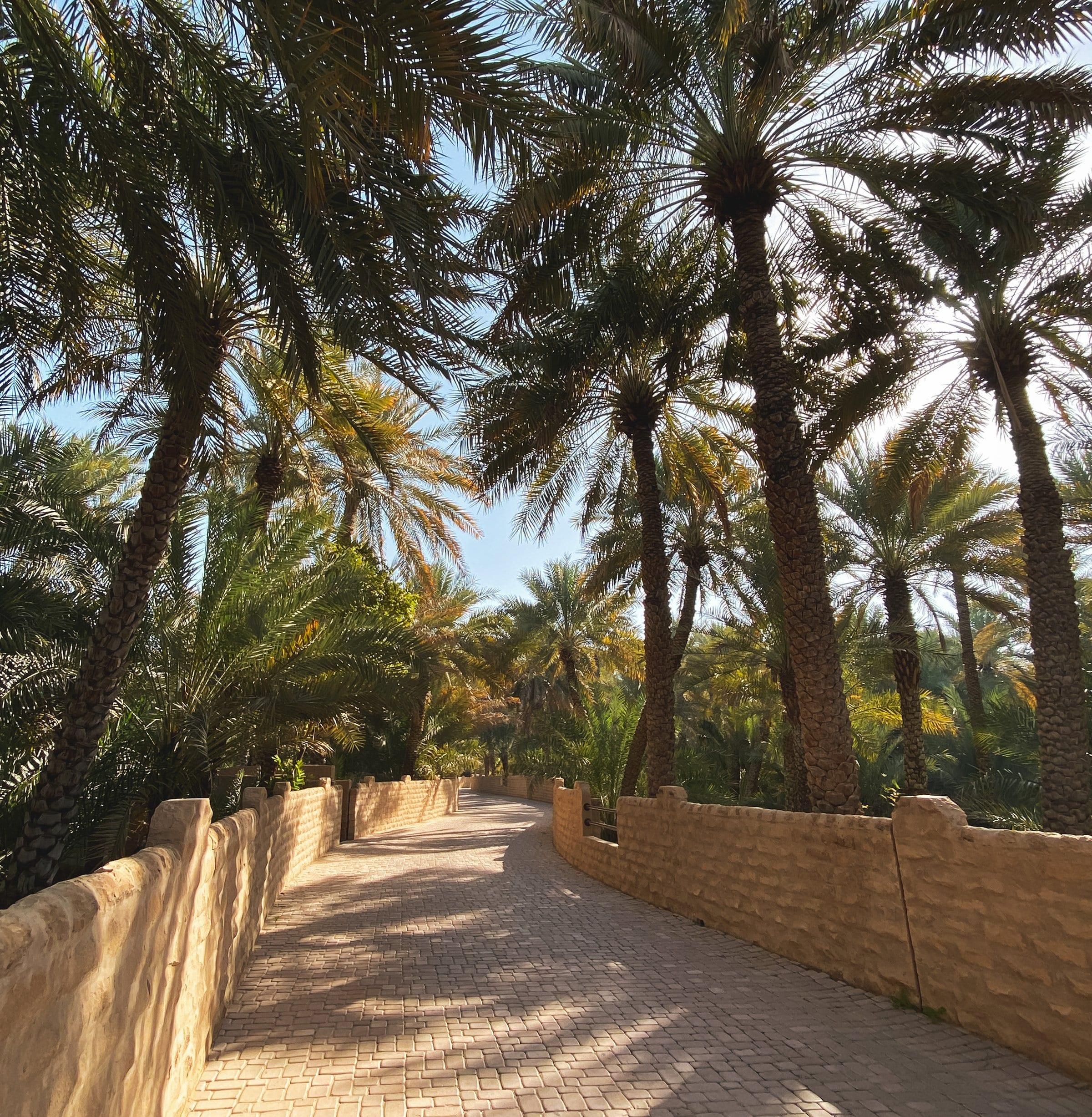 Walkway to Emirates Palace
