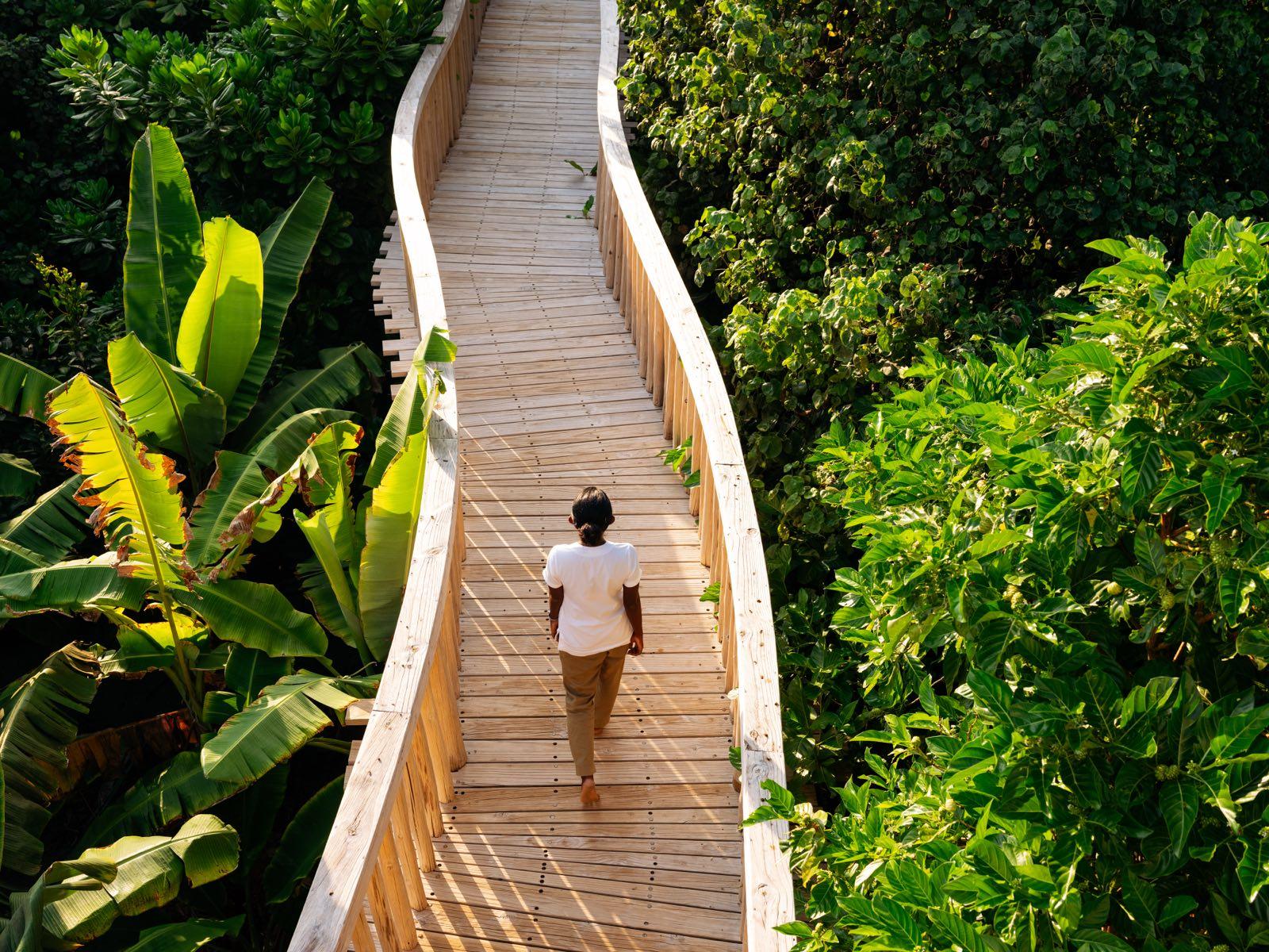 the-house-of-fushi — 15