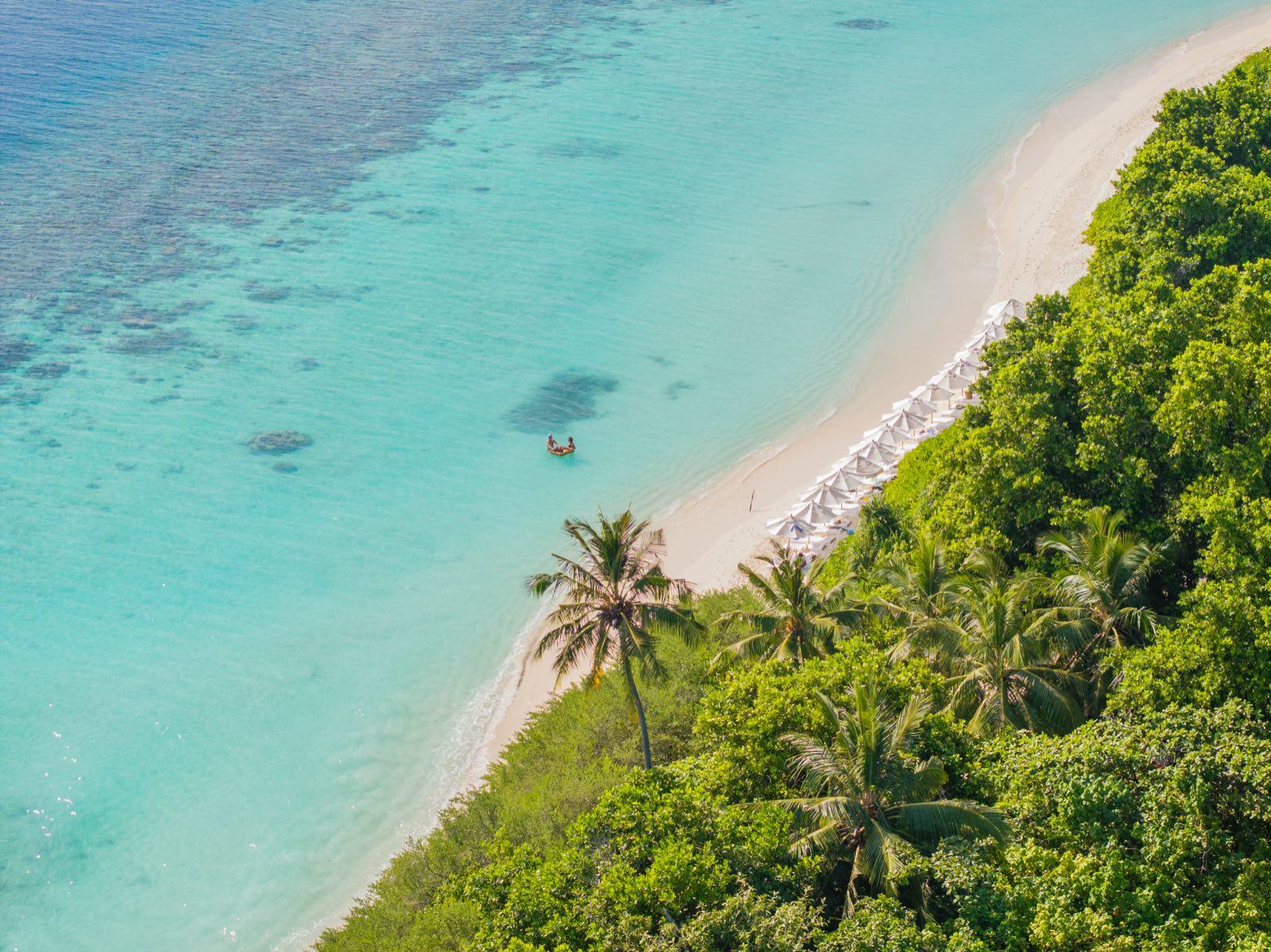 the-house-of-fushi — 24