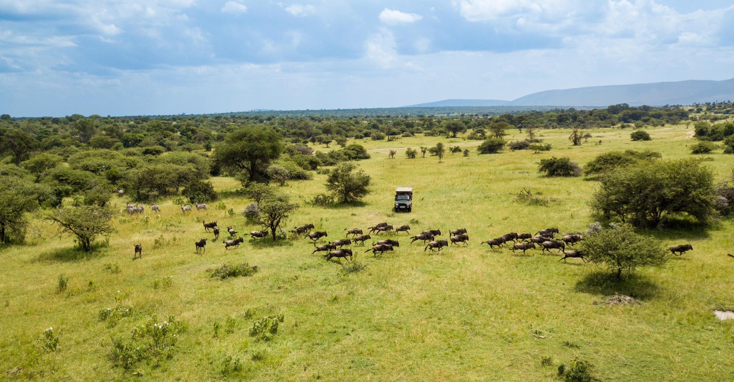 The Maasai Explorer